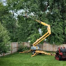 Reliable Kingsville, MD Tree Removal Solutions