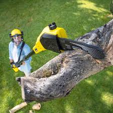 Best Pest Control for Lawns  in Kingsville, MD